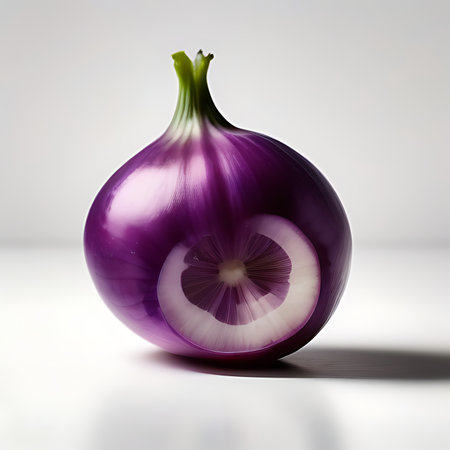 Purple onion isolated on white background with clipping path and shadow.の素材