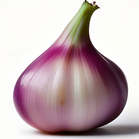 onion on a white background, 3d render, close-upの素材