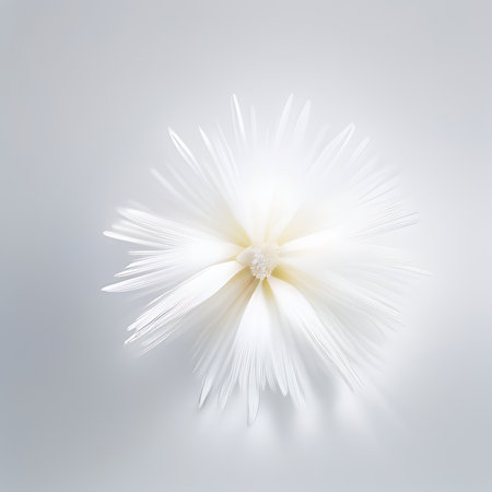 White flower on a white background. 3d rendering, 3d illustration.の素材