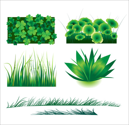 The collection of green exotic vegetationのイラスト素材