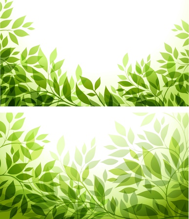 set - abstract background with green sheetのイラスト素材