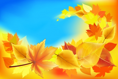 Autumn background with flying leaves. のイラスト素材