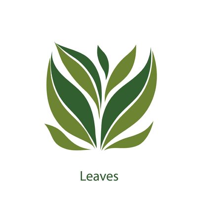 Green leaves of trees and plants. Elements for eco, organic and bio logos. Leaves icon vector isolated on white background.のイラスト素材