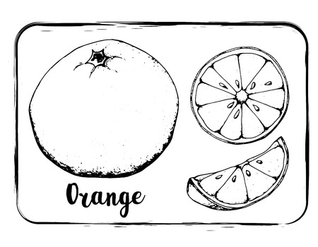 Black and white orange sketch hand drawing isolated vector illustrationのイラスト素材