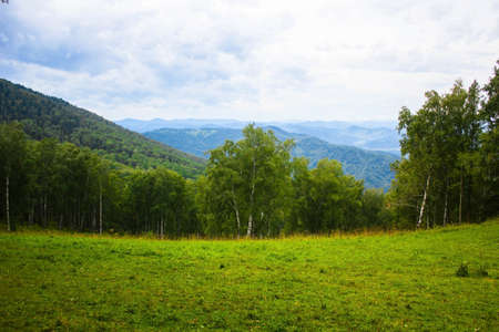 Grassy area with beautiful mountainsの写真素材