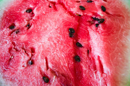 Sweet top of watermelonの写真素材