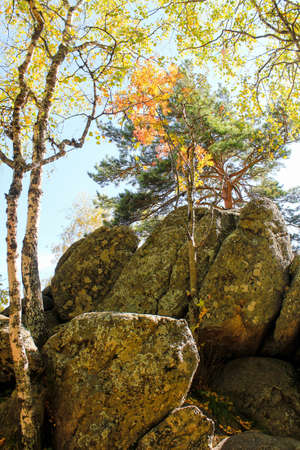 A secret and unusual natureの写真素材