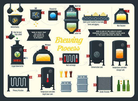 Beer brewing process infographic. Flat style.のイラスト素材