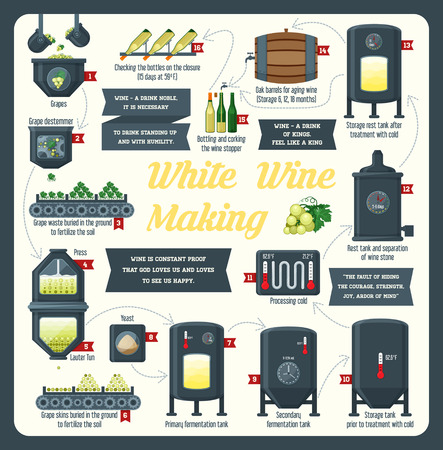 Wine making. how wine is made, wine elements, infographicのイラスト素材
