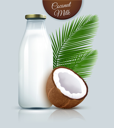 Coconut vegan milk non dairy in bottles. Coconut milk for your design. Vector illustrationのイラスト素材