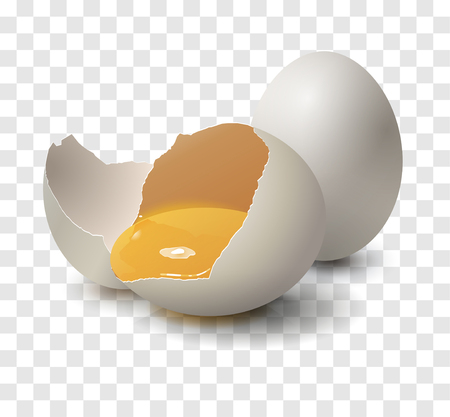 Realistic Egg on transparent background. Egg as food. Design template can use for menus, flyers for cafes, restaurants, fast food etc. Vector illustrationのイラスト素材