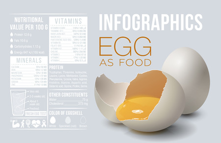 Egg infographics. Egg as food. Design template, vitamins and minerals. Benefit of egg. Vector illustrationのイラスト素材