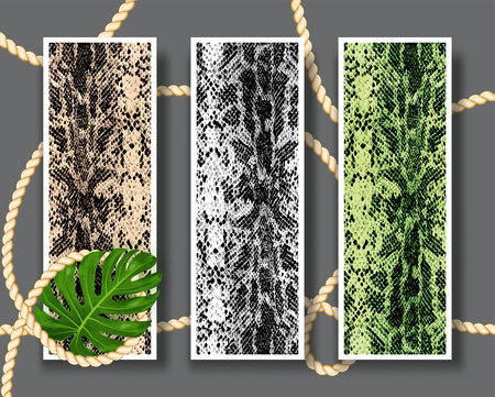 Three shameless snake skin pattern texture. Trendy vector texture snake set. Fashion and stylish background. Fashionable print.のイラスト素材
