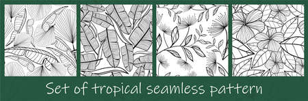 Set of Jungle leaves seamless pattern. Tropical palm leaves. Hand drawn exotic leaves with contour In black and white colors. Floral line art background for fabric, textile, T-shirts and wallpaper.のイラスト素材