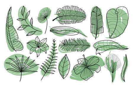 Tropical exotic palm leaves collection. Outline Hand drawn palm leaves In black and white colors. Set of isolated on a white background for fabric, textile, T-shirts and wallpaper.のイラスト素材