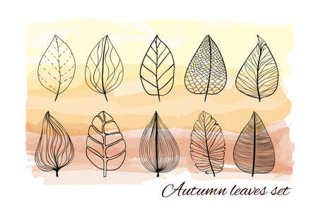 Autumn is coming set of leaves with different patterns. Black outline leaves collection on watercolor background. Silhouette leaves with different texture for print on fabric, textile, wrapping paperのイラスト素材