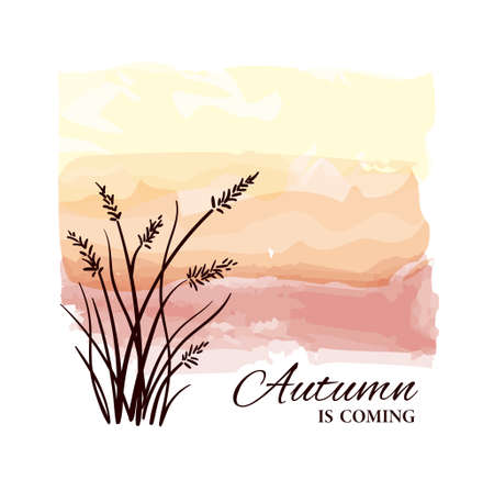 Autumn is coming card with plant silhouette. Black outline plants on sunset or dawn in watercolor style. Beautiful postcard with black silhouette grass on watercolor background.のイラスト素材