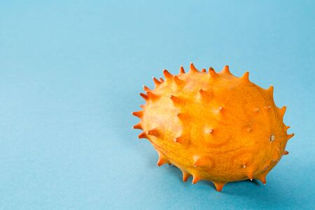 Single Kiwano on blue background, closeup with copy space.の写真素材