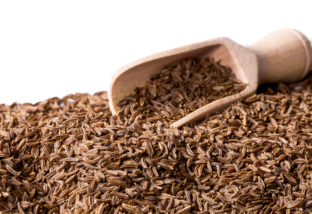 caraway seed with spice shovel isolated on white backgroundの写真素材