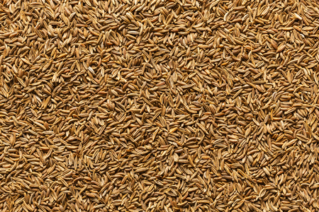 Caraway seeds full frame image background, closeup, view directly from aboveの写真素材