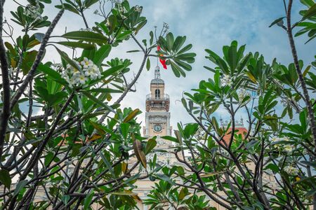 Ho Chi Minh, Vietnam - November 15, 2017: View of the Ho Chi Minh City Hall through the branches of plumeriaのeditorial素材