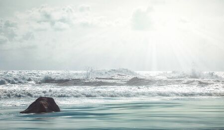Marine landscape of coastline in Sri Lanka