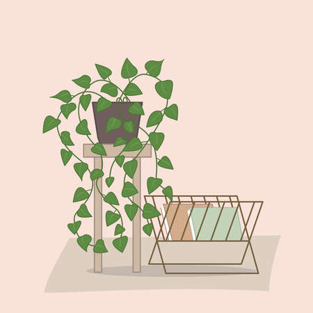 A climbing plant in a pot is on the table. There is a magazine rack nearby. There is a rug on the floor. Vector illustration in warm colors.のイラスト素材