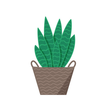 Homemade green plant in a basket on a white background.のイラスト素材