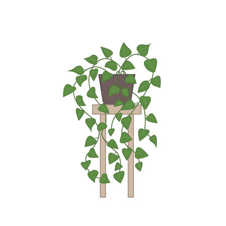 Homemade climbing plant on the table on a white background. Isolatedのイラスト素材