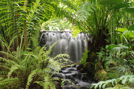 Thermal river in the natural reserve of Termas de TabacÃ³n, with hot waters that come from the...