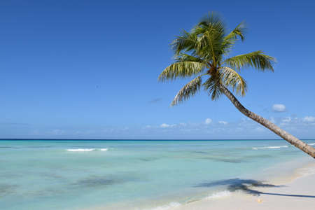 Beach in the Caribbean Sea. Punta Cana. Saona Islandの写真素材