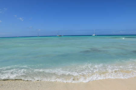 Beach in the Caribbean Sea. Punta Cana. Saona Islandの写真素材