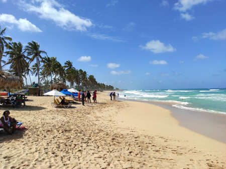Beach in the Caribbean Sea. Punta Cana. Saona Islandの写真素材