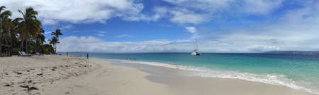 Palm trees on a beach in the Caribbean Sea. Punta Cana. Saona Islandの写真素材