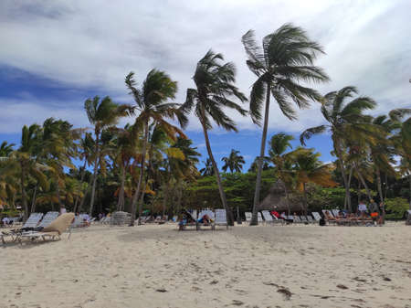 Beach in the Caribbean Sea. Punta Cana. Saona Islandの写真素材