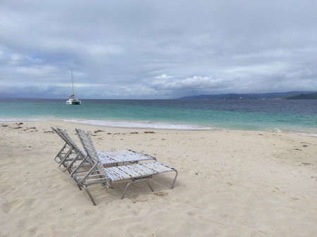 Palm trees on a beach in the Caribbean Sea. Punta Cana. Saona Islandの写真素材