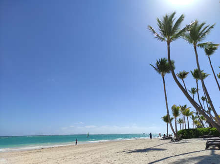 Caribbean Sea. Punta Cana. Saona Islandの写真素材
