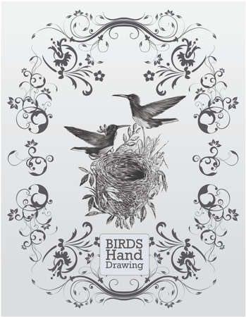 Floral birds illustrationのイラスト素材