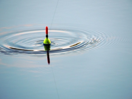 float in the water photographed during the biting fishの写真素材
