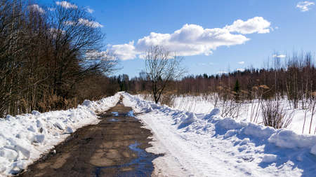 road in the woods, early springの写真素材