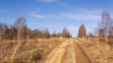 muddy forest road in spring