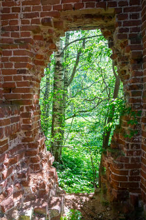 the interior of an abandoned Orthodox church, Russia, the village of Ryapolovo, built in 1791 currently the temple is abandonedの写真素材