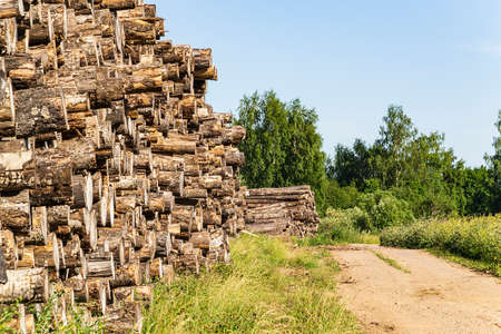 a lot of logs during loggingの写真素材