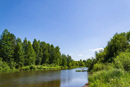 forest river on a hot summer day