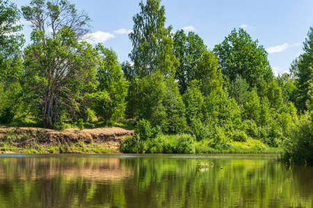 forest river on a hot summer dayの写真素材