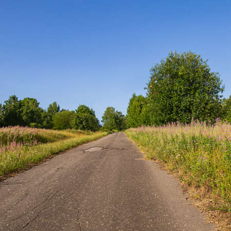 summer green landscape on a hot July dayの写真素材