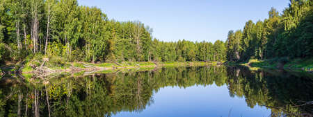 forest lake summer landscape, reflection in the waterの写真素材