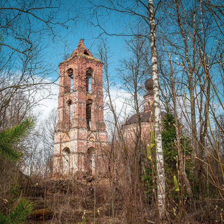 abandoned Orthodox church in the forest, village of Myshkino, Kostroma region, Russia, built in 1784の写真素材