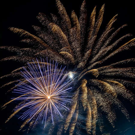 fireworks against the sky in the eveningの写真素材