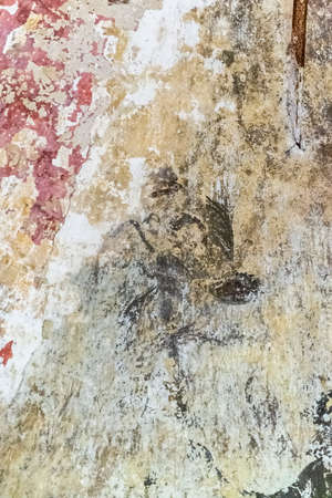 drawings on the walls of an abandoned temple , the village of Myshkino, built in 1784, currently the...